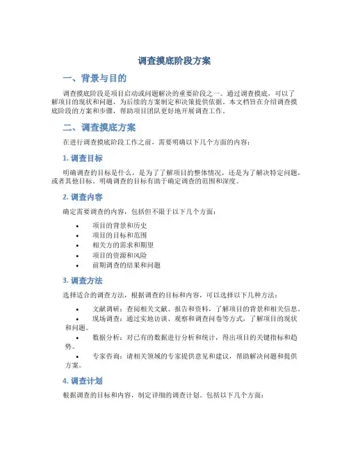 调查摸底阶段方案