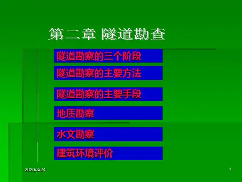 隧道的勘察PPT课件