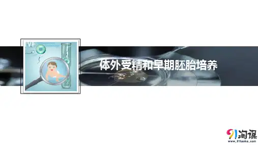 课件14：3.2 体外受精和早期胚胎培养
