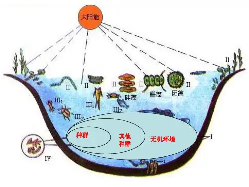 苏教版高中生物必修三第四章 生物与环境构成生态系统优秀课件资料