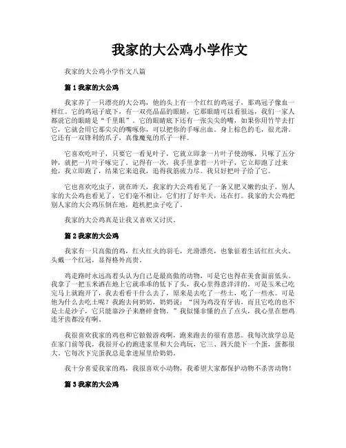 我家的大公鸡小学作文
