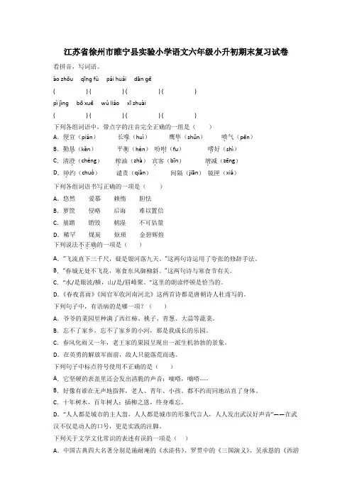 江苏省徐州市睢宁县实验小学语文六年级小升初期末复习试卷