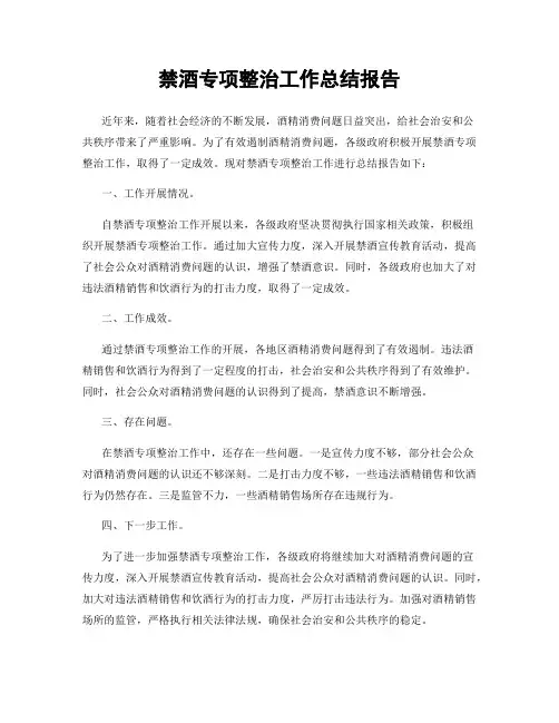 禁酒专项整治工作总结报告