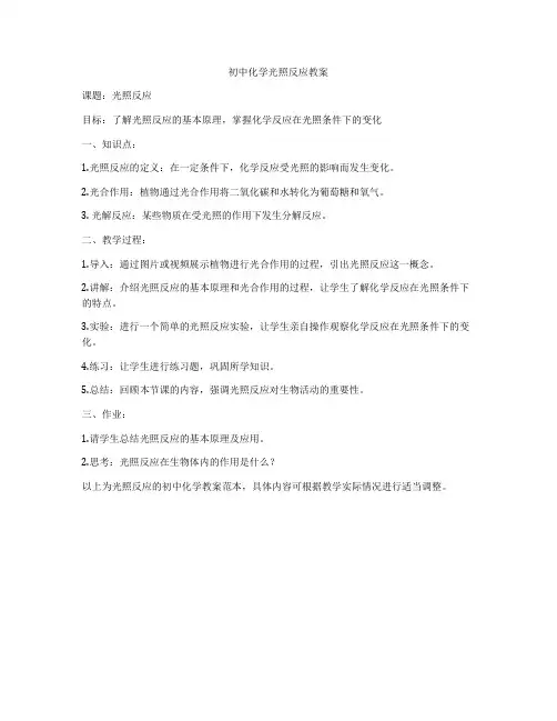初中化学光照反应教案