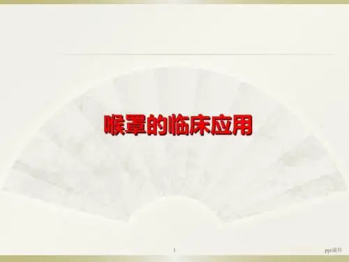 喉罩的应用  ppt课件