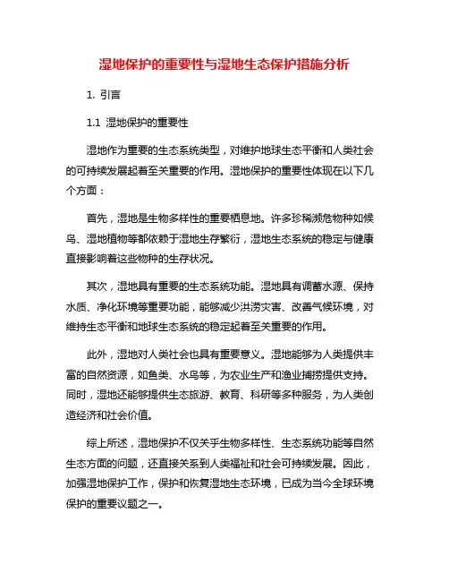 湿地保护的重要性与湿地生态保护措施分析
