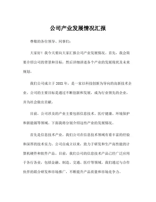 公司产业发展情况汇报