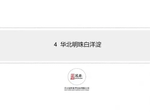 最新版冀教版二年级语文下册4《华北明珠白洋淀》教学课件