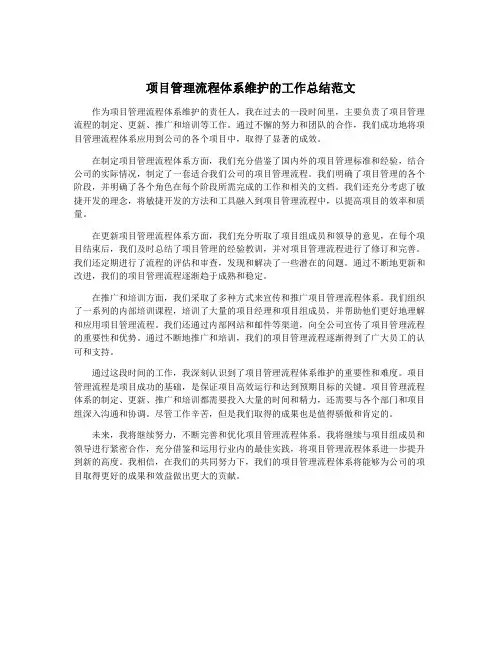 项目管理流程体系维护的工作总结范文