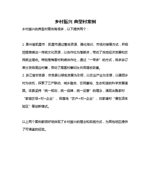 乡村振兴 典型村案例