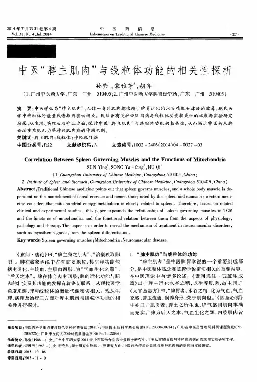 中医“脾主肌肉”与线粒体功能的相关性探析
