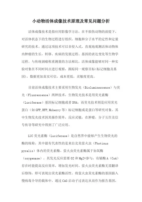 小动物活体成像技术原理及常见问题分析