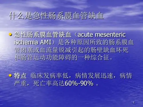 急性肠系膜血管缺血性疾病的诊断ppt课件
