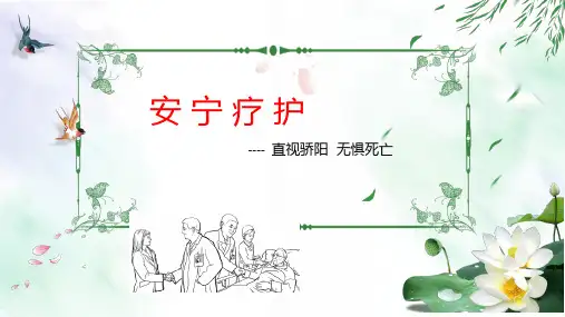 安宁疗护_2精选全文