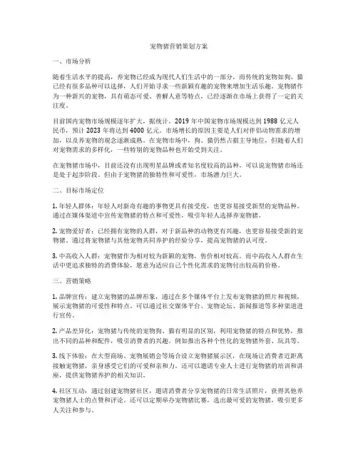 宠物猪营销策划方案