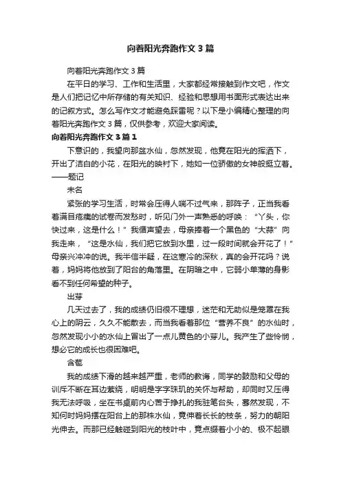 向着阳光奔跑作文3篇