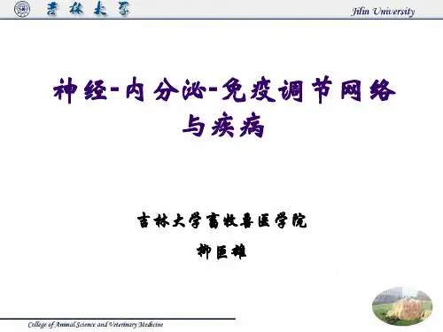 神经—内分泌—免疫调节网络与疾病