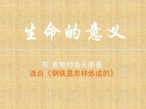 生命的意义PPT课件