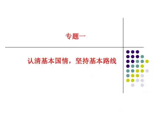 专题一   基本国情基本路线专题