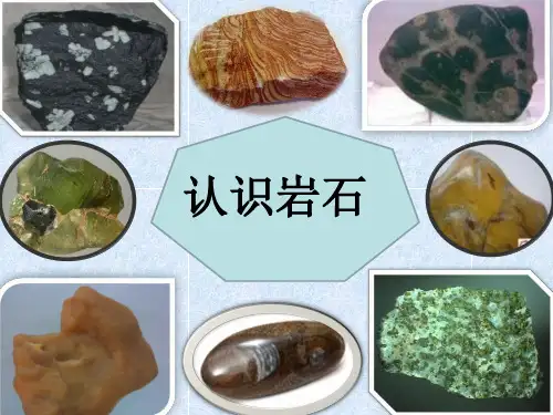 认识岩石的课件
