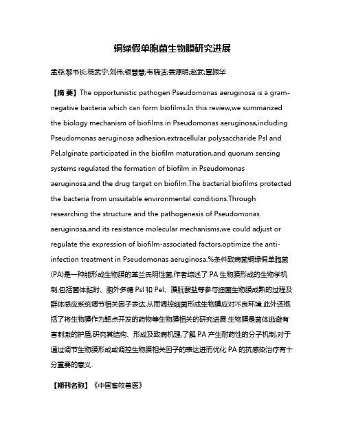 铜绿假单胞菌生物膜研究进展
