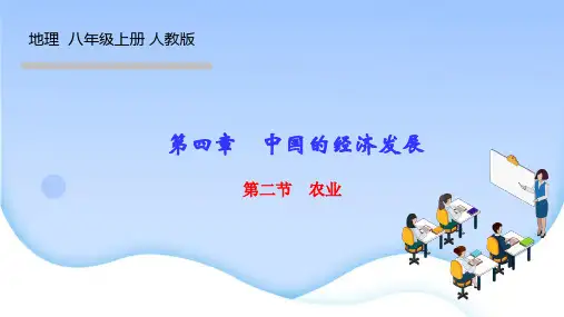 人教版八年级地理上册作业课件 第四章 中国的经济发展 第二节 农业