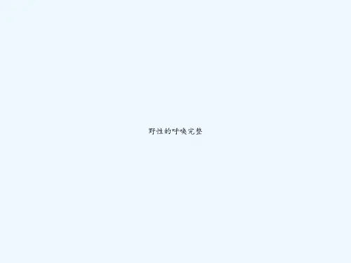 野性的呼唤完整 PPT