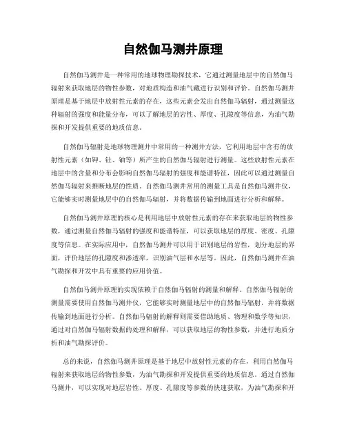 自然伽马测井原理