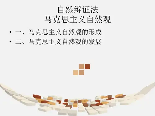 自然辩证法自然观部分
