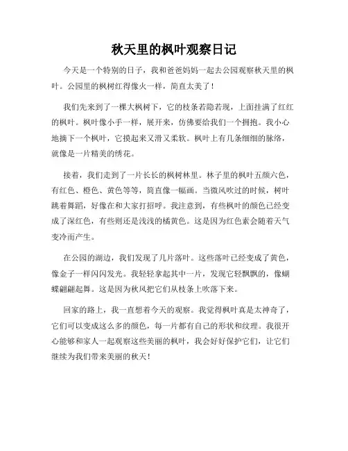 小学三年级作文秋天里的枫叶观察日记