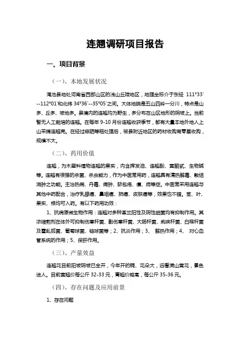 连翘调研项目报告