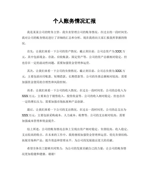 个人账务情况汇报
