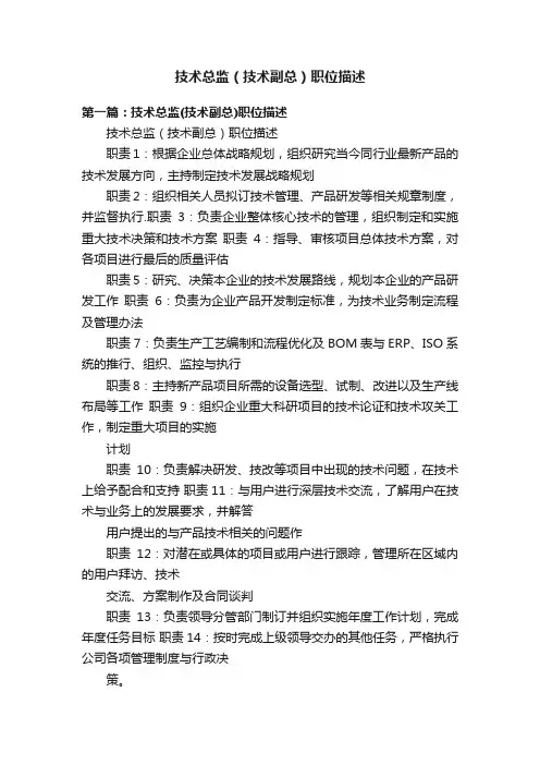 技术总监（技术副总）职位描述