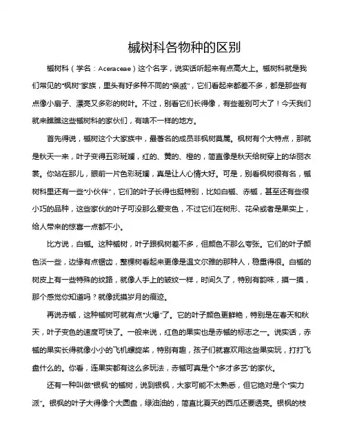 槭树科各物种的区别