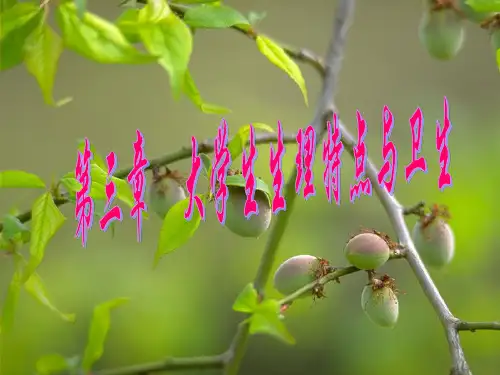 第三章 大学生的生理特点及生理卫生