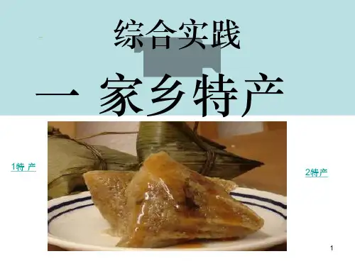 综合实践活动1课家乡特产ppt课件