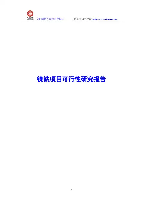 镍铁项目可行性研究报告