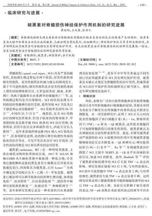 褪黑素对脊髓损伤神经保护作用机制的研究进展