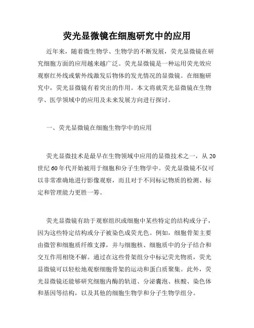 荧光显微镜在细胞研究中的应用