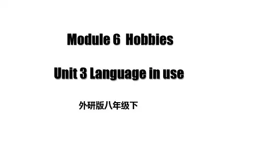 Language in use ppt课件