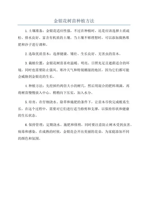 金银花树苗种植方法