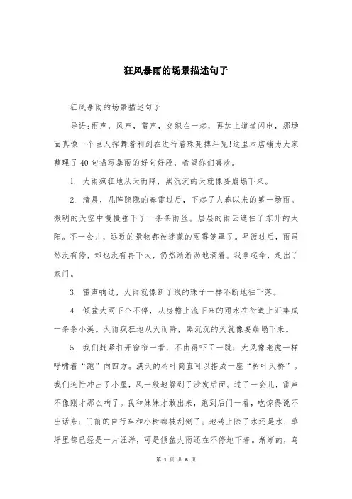 狂风暴雨的场景描述句子