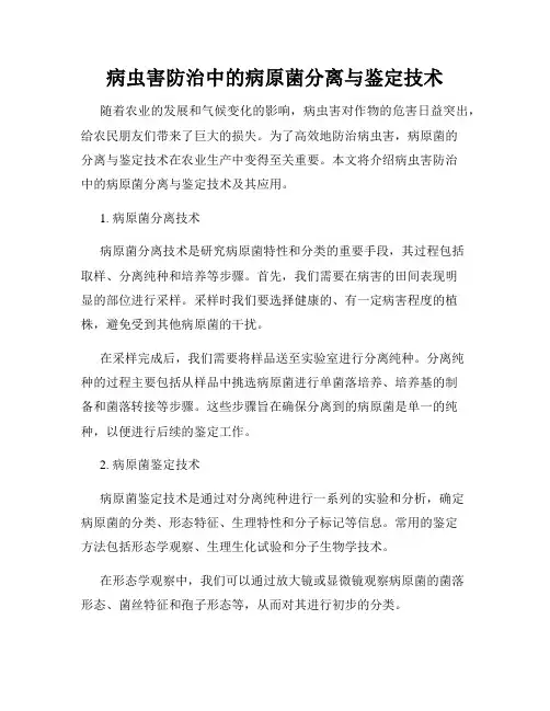 病虫害防治中的病原菌分离与鉴定技术