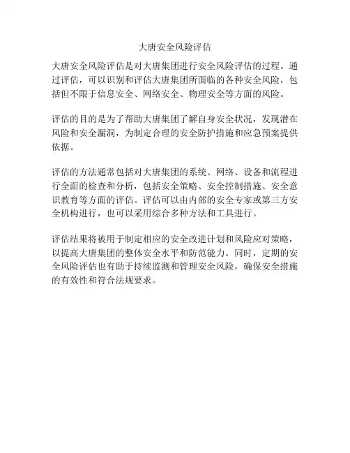 大唐安全风险评估
