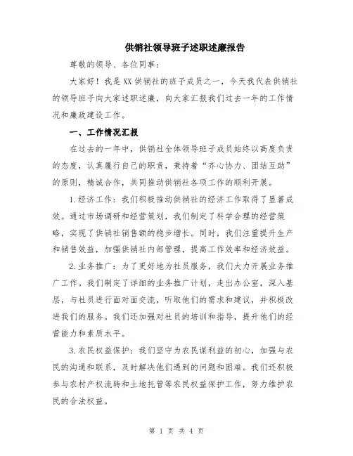供销社领导班子述职述廉报告