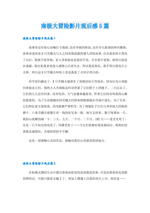 南极大冒险影片观后感5篇