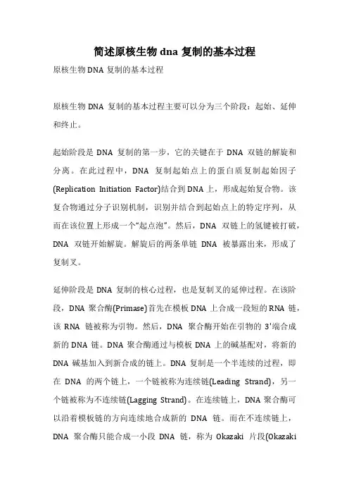 简述原核生物dna复制的基本过程