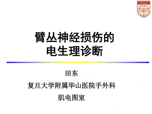 臂丛神经损伤的诊治进展ppt课件