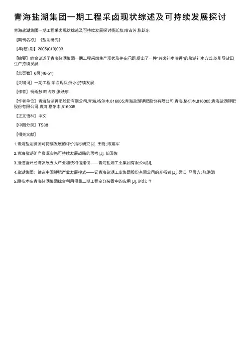 青海盐湖集团一期工程采卤现状综述及可持续发展探讨