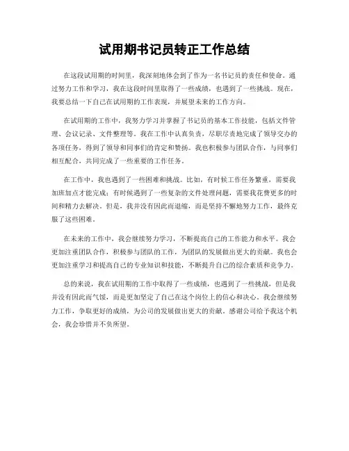 试用期书记员转正工作总结